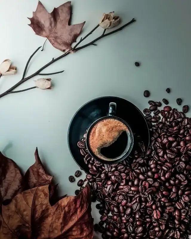 Brown Mood