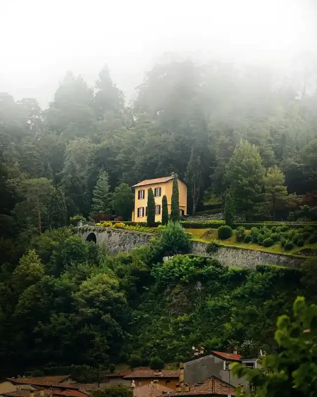 Green Mood